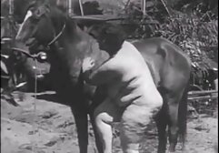 ひよこ大好き二コックで一度 女性 専用 av 動画