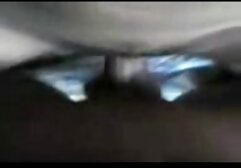 三つの若い学生は非常に無邪気に甘い猫をなめる 女性 専用 まちこ